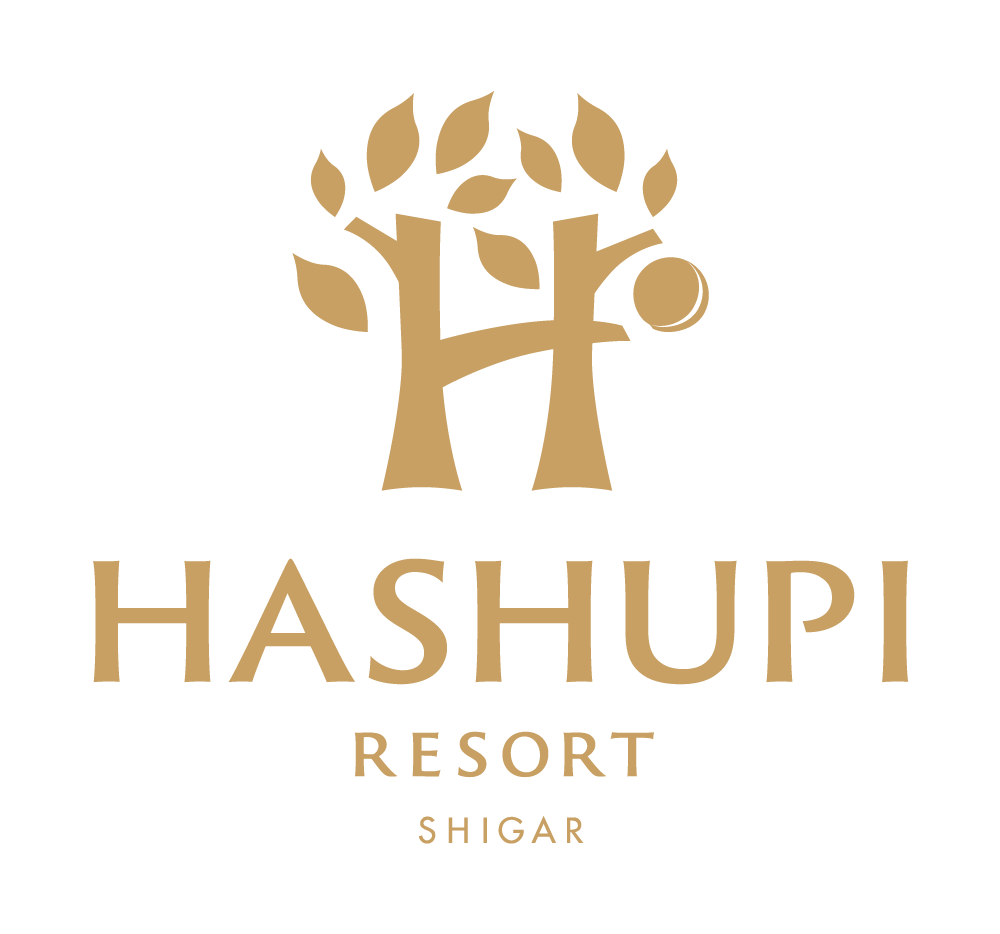 hashupi_logo